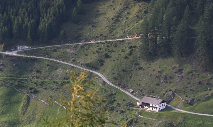 IMG_0595-Hochwiel.jpg