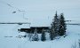 IMG_0396-Krapfer2009Winter-