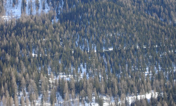 DSC02199-Panorama-.JPG