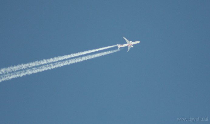 IMG_8056.JPG