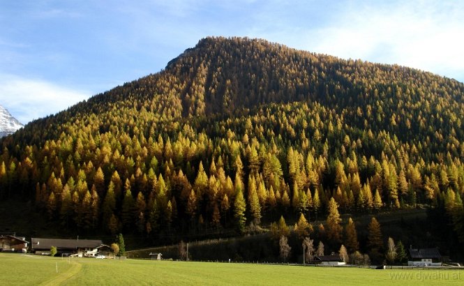 DSC04180-WeisseWandimHerbst2005.JPG